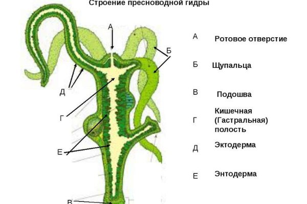 Переход на кракен